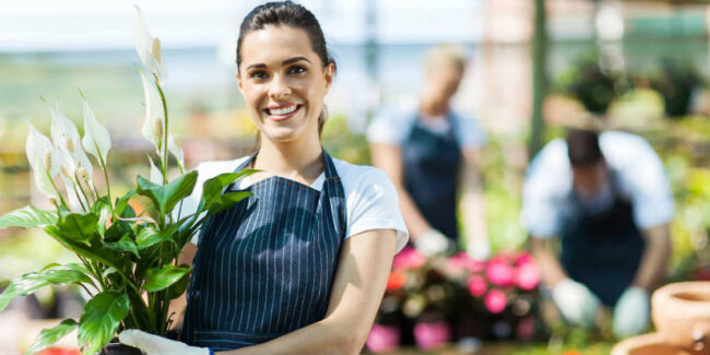 eCommerce for small business